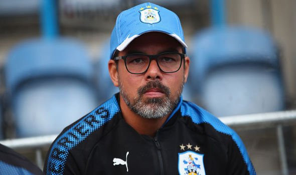Huddersfield-boss-David-Wagner-838535 5
