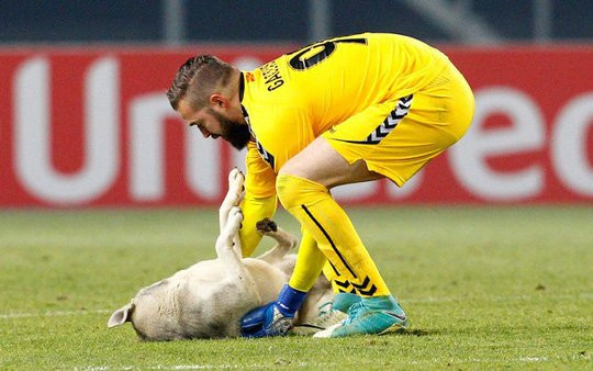 Chó làm gián đoạn trận đấu ở Europa League - Ảnh 4.