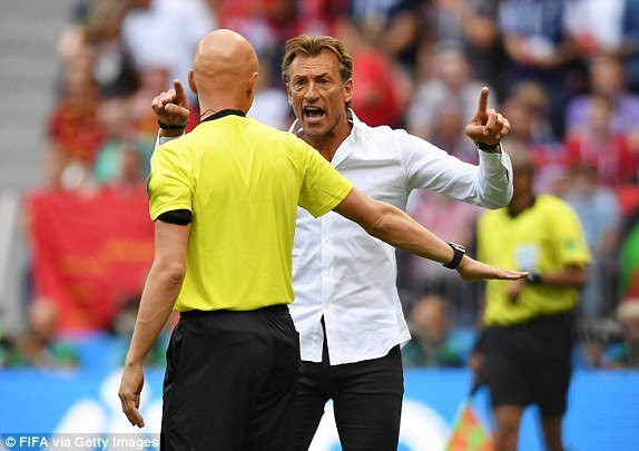 renard maroc bo dao nha 11