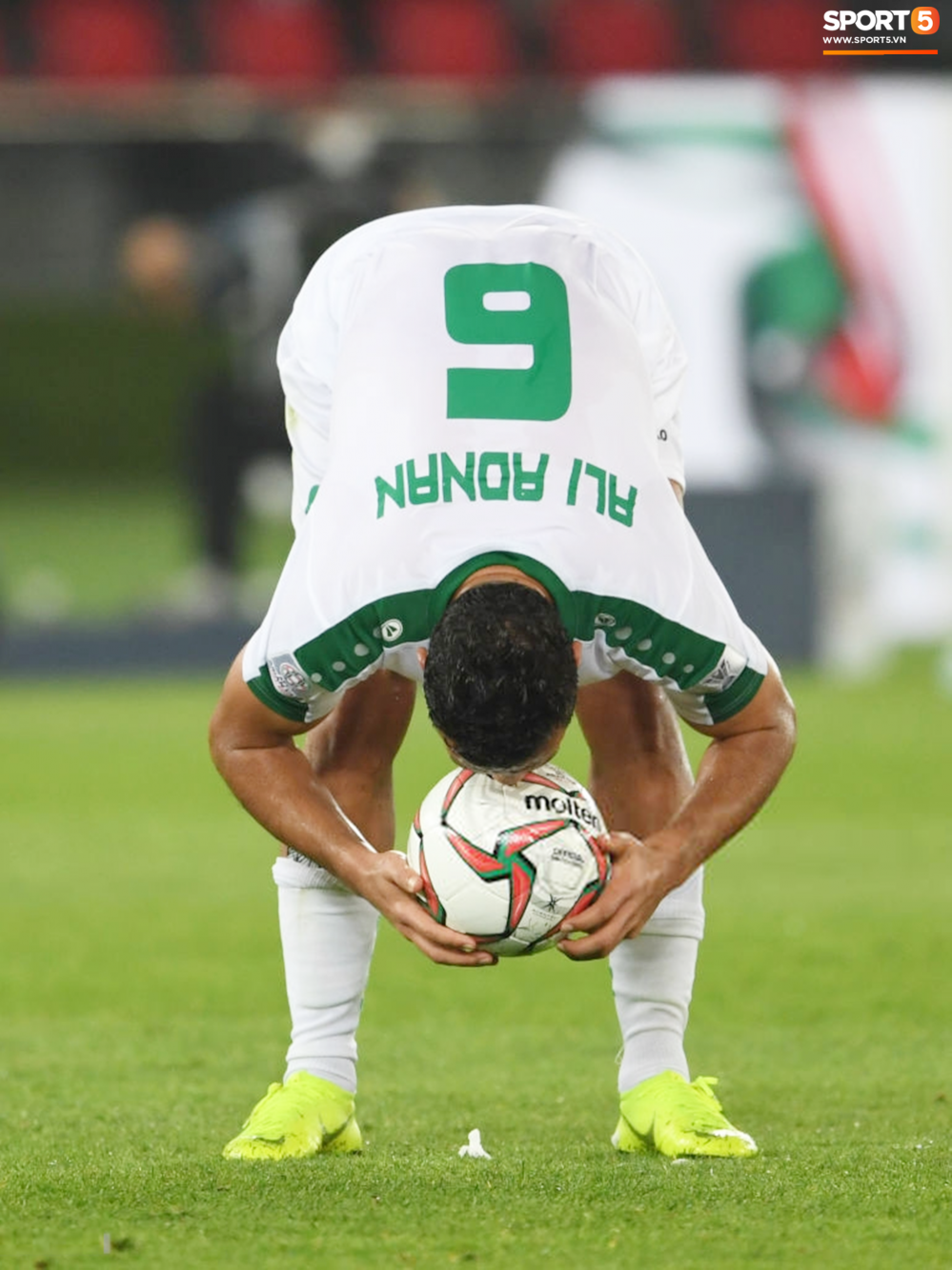 hinh-6-15469669669791382815647 7