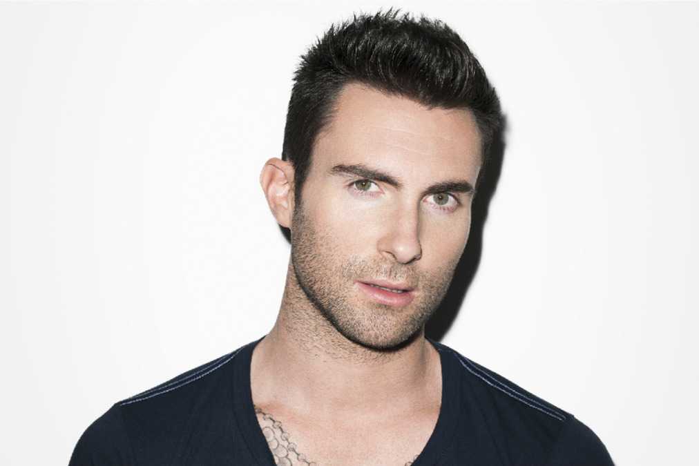 Adam Levine vô tình gây thương tích cho fan