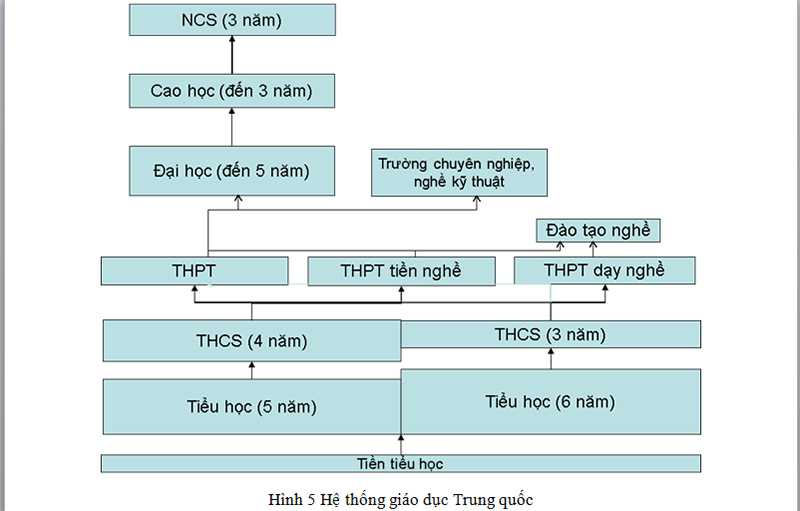 Gần 30% học sinh THPT Trung Quốc đỗ đại học hàng năm