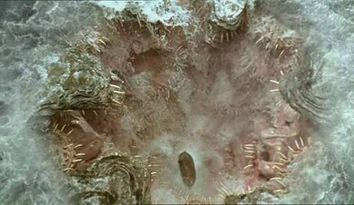 Charybdis được miêu tả là có khuôn mặt lớn, luôn phải uống một lượng nước biển lớn mỗi ngày. Khi quái vật này ợ sẽ tạo nên những xoáy nước