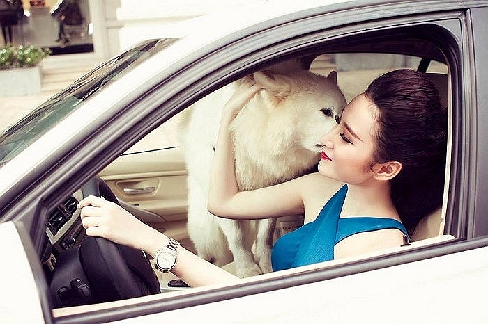 Trước đó, trong một bộ ảnh mới, Angela Phương Trinh diện đồ khá sexy, tạo dáng với chú cún bên xe sang của cô.