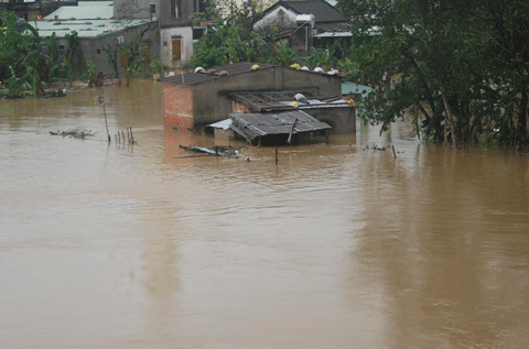 Quảng Nam, lũ, Hội An, ngập, mưa lớn, chìm trong nước, Đà Nẵng
