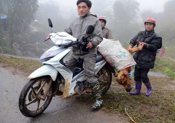 Ảnh: Người Sa Pa liêu xiêu trong tuyết