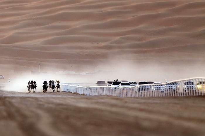 Đua ngựa trong sa mạc ở UAE - Tiểu vương quốc Ả rập Thống nhất