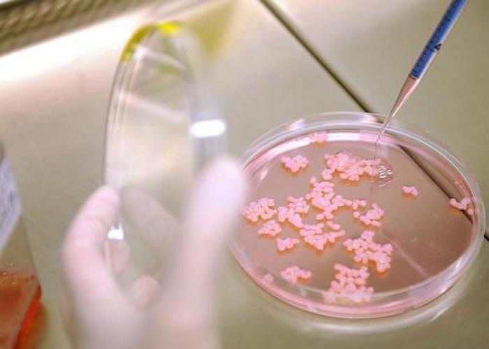 2) Công nghệ sinh học Mức lương trung bình hàng tháng của sinh viên mới tốt nghiệp: 3,082 đô la Singapore (tương đương 52,4 triệu đồng).