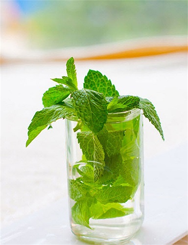 Bạc hà sẽ làm lỏng các cơ co khít ở thực quản, khiến nồng độ axit gia tăng. Không nên ăn nhiều bất kỳ loại thực phẩm nào có chứa bạc hà. 