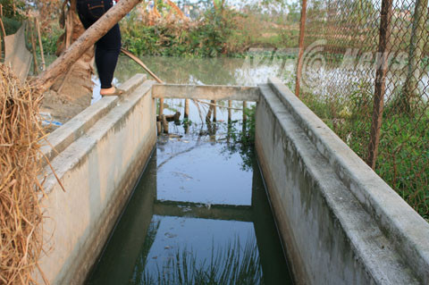 xả thải, ô nhiễm môi trường, Công ty Aurora Việt Nam, Thủy Nguyên, Hải Phòng