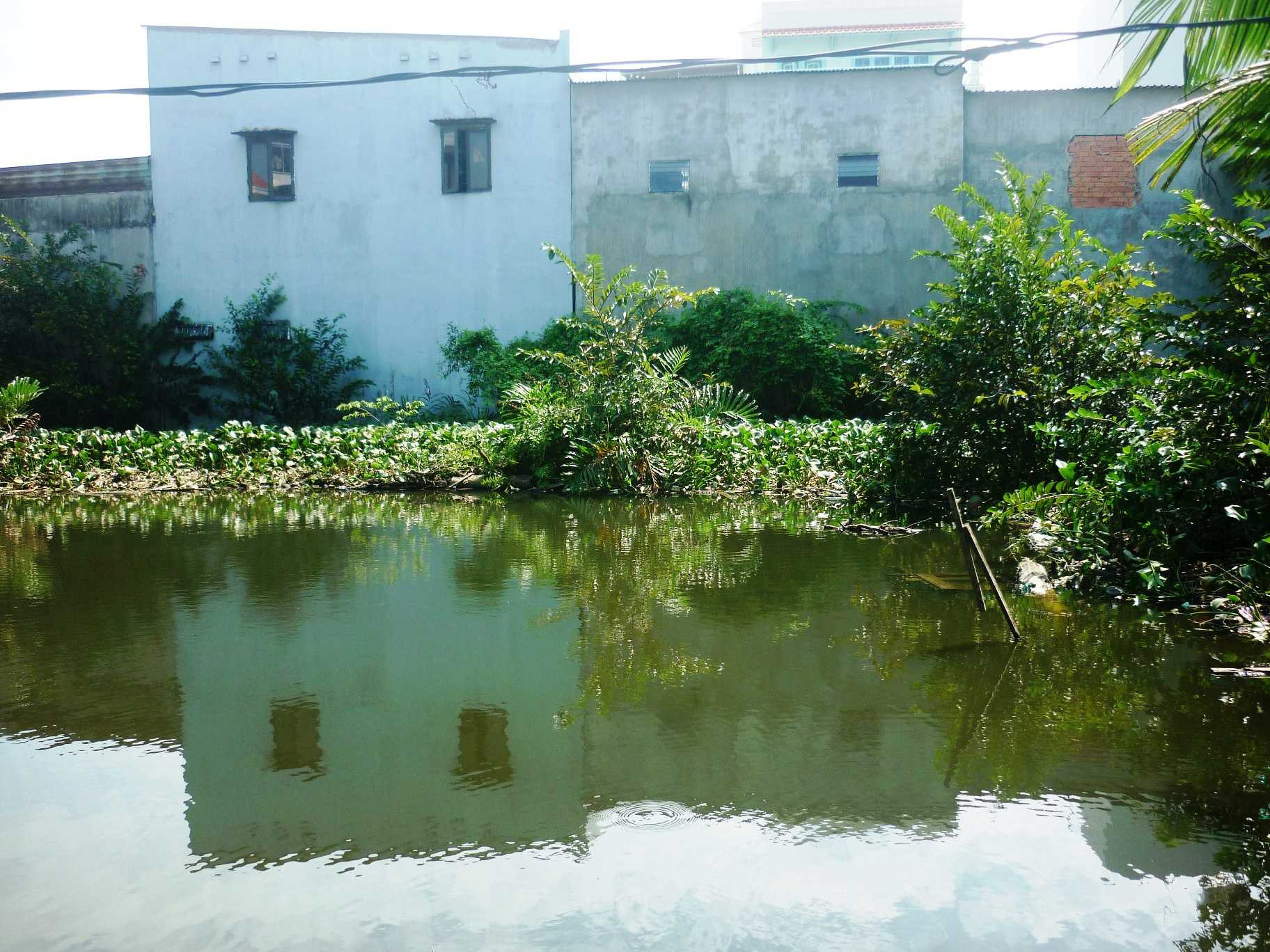 TP.HCM, ao bèo, sát hại, nghi vấn, bé trai chết dưới ao bèo, bất thường