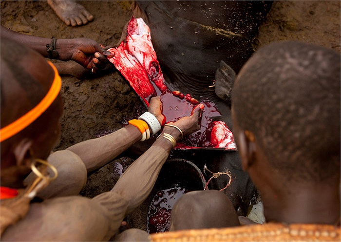 Ở thung lũng Omo, đất nước Ethiopia, có một bộ lạc có phong tục hết sức kỳ quái, với quan niệm đàn ông phải béo ú mới đẹp.