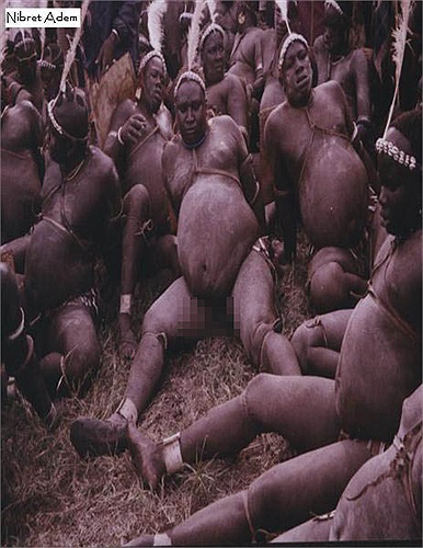 Để chiến thắng trong cuộc thi đó, đàn ông toàn bộ lạc nhịn sex nhiều tháng trời để ‘tích trữ’ năng lượng.