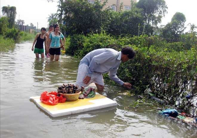 ốc bươu, trieu cường