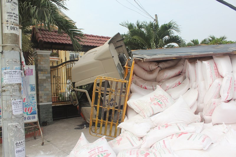 TP.HCM, Củ Chi, hôi của, xe container, lật ngang, bột mì