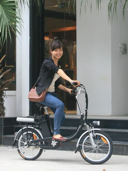 Các mẫu xe đạp điện thống lĩnh thị trường 2013