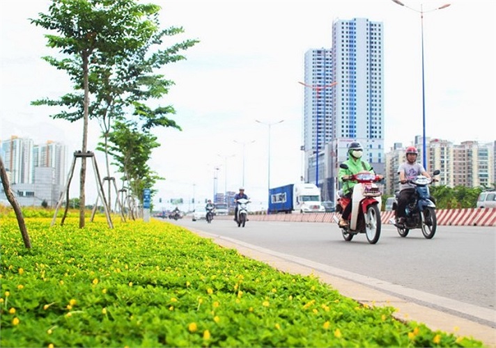 Hoa cỏ, cây xanh 2 bên xa lộ Hà Nội. 