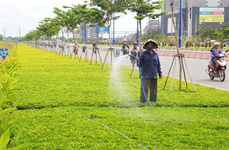 Công nhân chăm sóc hoa cỏ trên xa Lộ Hà Nội. 
