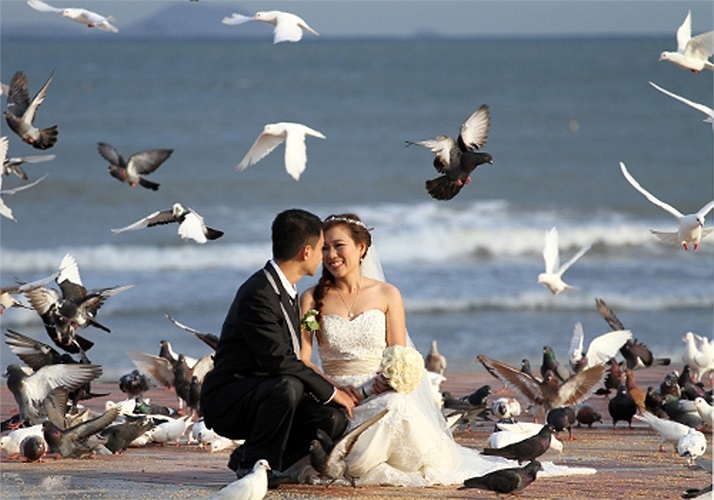 Đường Võ Nguyên Giáp cũng sẽ 'sở hữu' công viên biển Đông, nơi nhộn nhịp các hoạt động ca nhạc cộng đồng, vui chơi của du khách, chụp ảnh cưới..