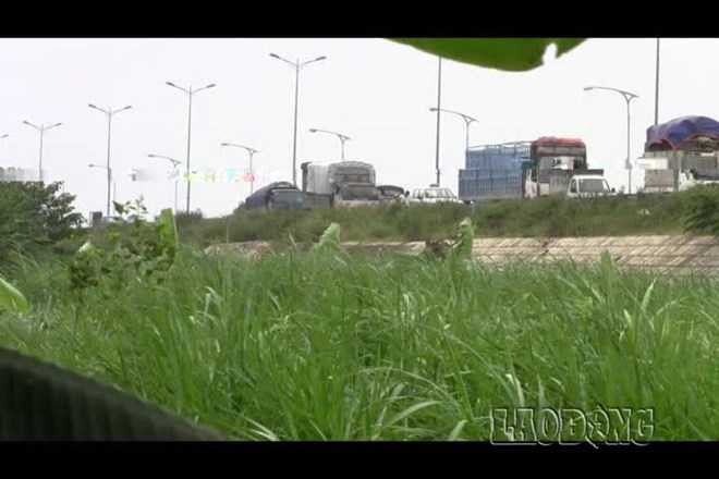 csgt hà nội, quốc lộ 1b, biểu hiện bất thường