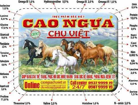 Cao ngựa Chu Việt: Người bạn đồng hành của sức khỏe