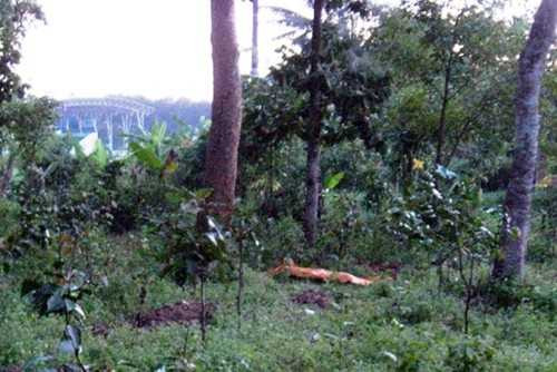 Nơi "sư thầy" chôn xác nạn nhân.