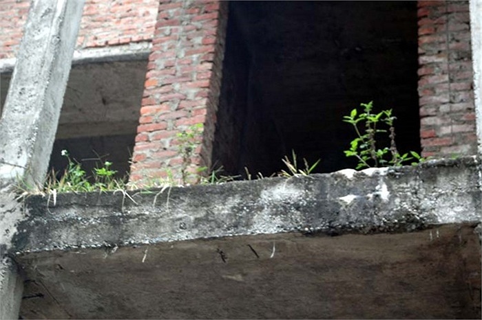 hay thành nơi... nuôi cỏ dại.