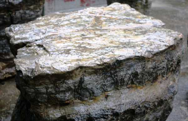 ‘Mặt bàn’ rộng, nhẵn bóng.