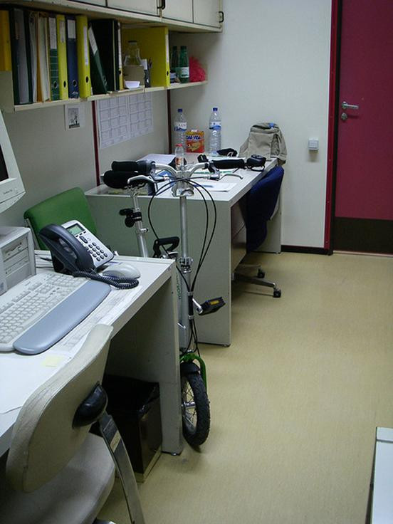 Biz- món quà Tết ý nghĩa mang niềm vui đến cho mọi nhà