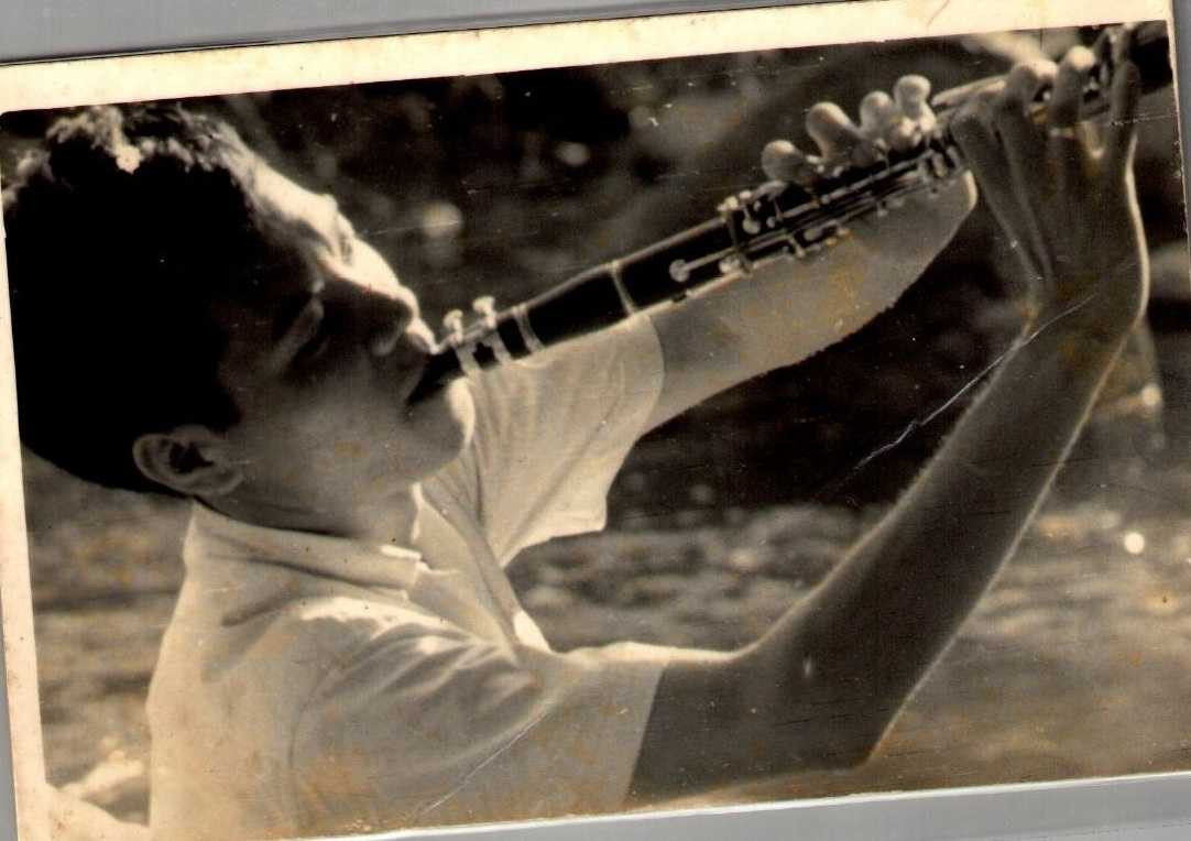 nhạc sỹ vũ thảo