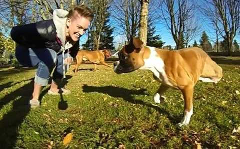 chú chó Duncan Lou