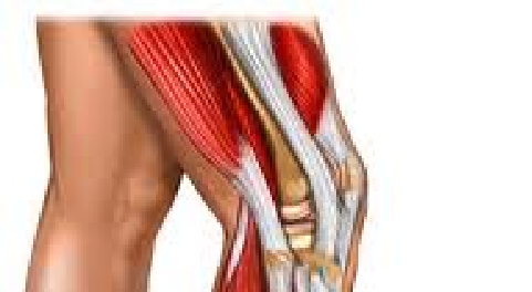 công dụng của collagen