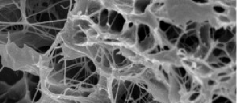 công dụng của collagen