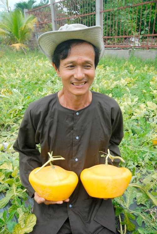 Dưa vàng hình bản đồ Việt Nam