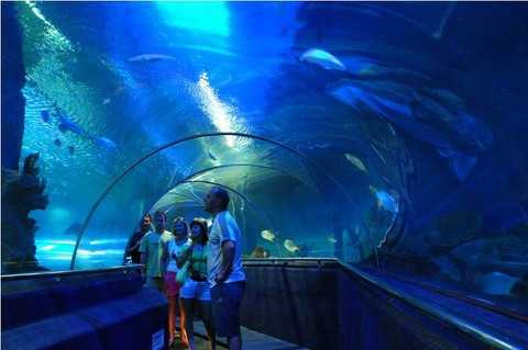 Đón quà năm mới cùng Times City