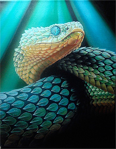 Chiếm số lượng đông đảo nhất là loài rắn Viper. Người dân tin rằng, chúng là bầy tôi của Chor Soo Kong, tức vị thần của đền.