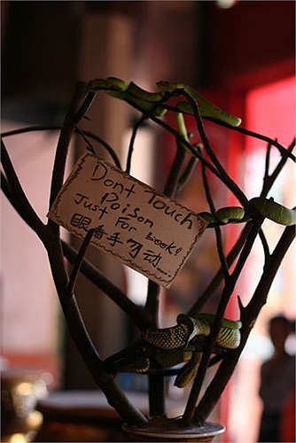 Ngôi đền được người Hoa xây dựng năm 1873, thờ Thanh Thủy tổ sư. Ông là Trần Chiếu Ứng, một pháp sư, anh hùng chống nhà Nguyên cuối triều Tống, quê ở An Khê – Phúc Kiến.