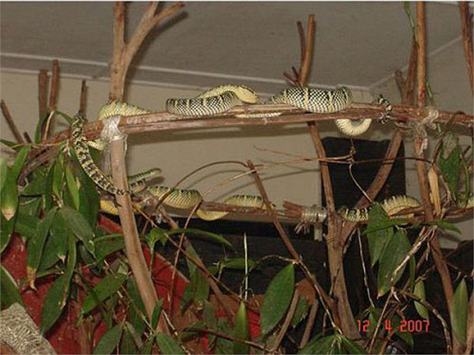 Lúc đầu nó chỉ là cái am nhỏ phục vụ nhu cầu tâm linh của nhóm người Hoa.