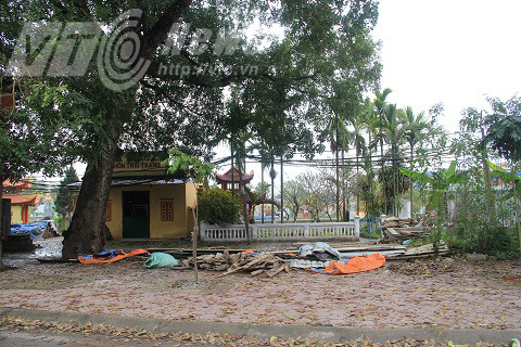 Nghĩa trang thôn Trai Trang