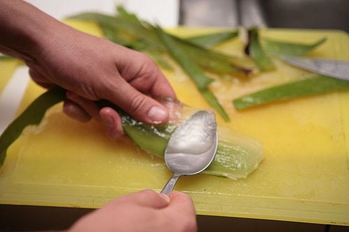 Sử dụng lô hội hàng ngày ngoài tác dụng cân đối độ ẩm, lô hội còn được coi là phương pháp tự nhiên giúp ngăn ngừa sự xuất hiện của những vết rạn da. 