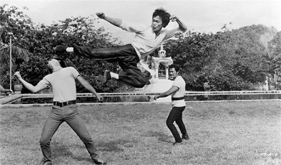 Do thể chất gầy gò, ốm yếu, Lý Chấn Phan theo cha học Thái Cực Quyền từ năm 7 tuổi, với hy vọng cải thiện vóc dáng và sức khỏe của mình. Từ đây cũng chính thức mở ra mối nhân duyên đặc biệt của cậu bé với võ thuật truyền thống Trung Hoa.