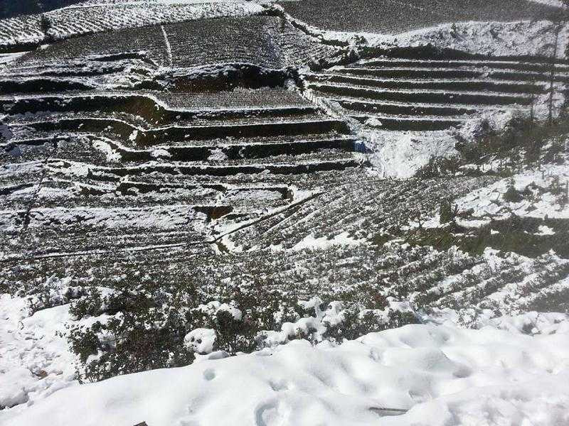 tuyết rơi, sa pa, tuyết tan, tuyết tan chậm, sa pan, sìn hồ, bát xát, ô quý hồ