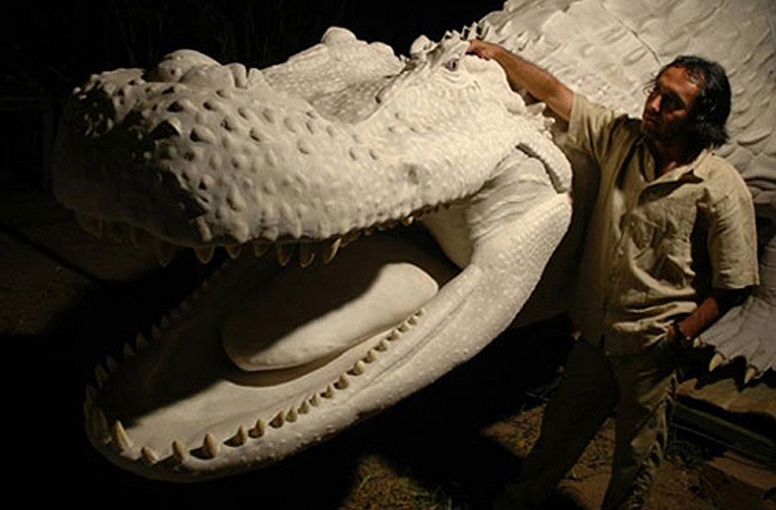 Chúng song hành cùng ‘chúa tế mặt đất’ khủng long ở Nam Mỹ trong suốt kỷ nguyên Miocene. 