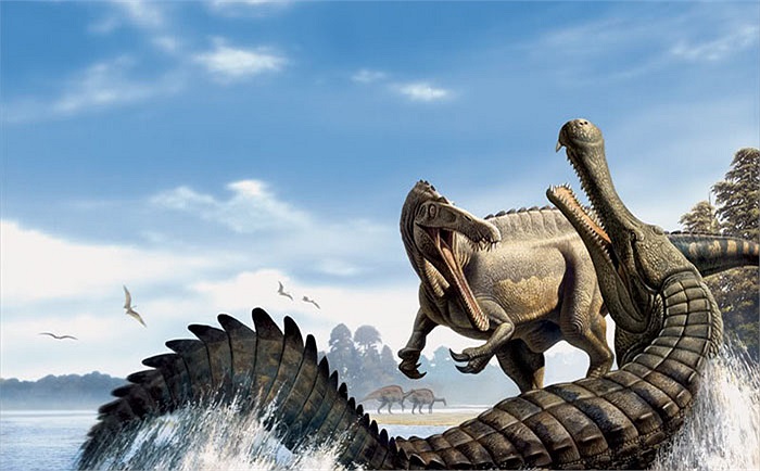 Các nhà khảo cổ học đã tìm thấy nhiều phần đầu hóa thạch của chúng ở Brazil, Colombia, Peru, Amazonia và miền bắc của Venezuela.