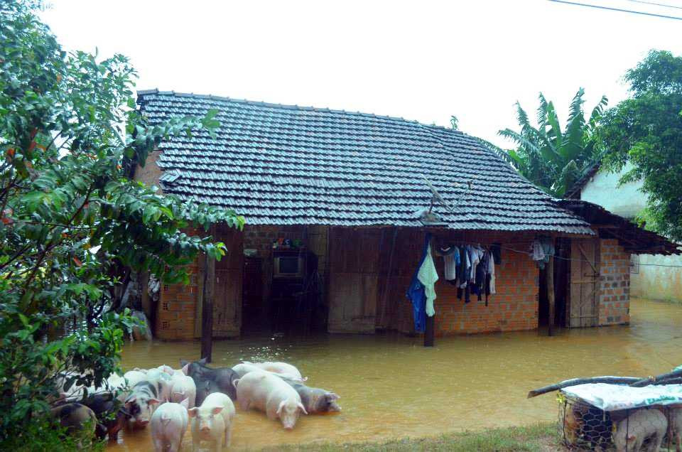 Áp thấp nhiệt đới suy yếu gây mưa lớn đã gây ngập lụt nhiều nơi trên địa bàn tỉnh Bình Định