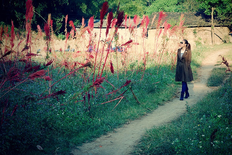 Xem thêmn ảnh đẹp của Mỹ Tâm giữa thiên nhiên Hà Giang hoang sơ: