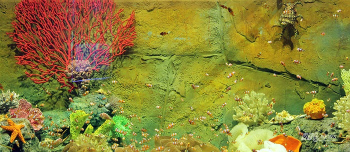 Nằm trong siêu trung tâm thương mại (TTTM) Vincom Mega Mall Times City (458 Minh Khai, Hà Nội), với diện tích gần 4.000 m2