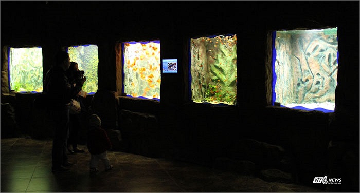 Chia tay khu rừng nhiệt đới, du khách sẽ tận mục sở thị một thế giới bò sát, sinh vật lưỡng cư và côn trùng trong Khu vực hang động.