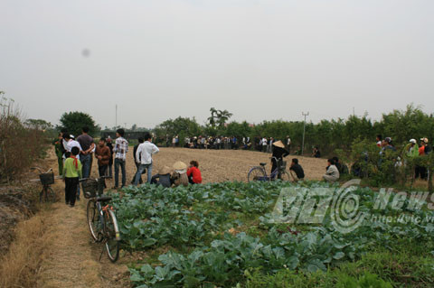 giết người, treo xác, xã Đại Đồng, Kiến Thụy, Hải Phòng