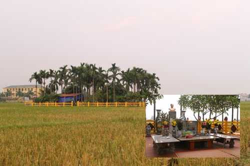 chuyện lạ, VTC News, đá trị rắn cắn, đàn ông có thai, doanh nhân, kiện cáo, chủ tịch tỉnh Bình Dương